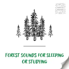 Forest Sounds for Sleeping or Studying (White Noise), Loopable by FX Forest Sounds, White Noise Therapy & White Noise Atmospheres album reviews, ratings, credits