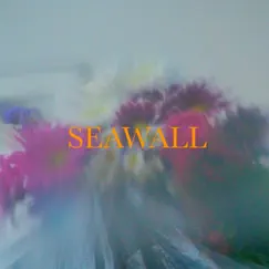 Seawall Song Lyrics