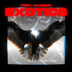 Exotics - Single by Terry Maverick album reviews, ratings, credits