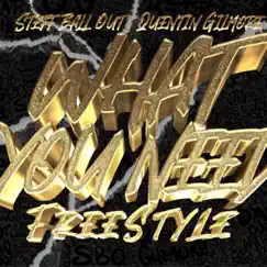 What You Need Freestyle (feat. Quentin Gilmore) Song Lyrics