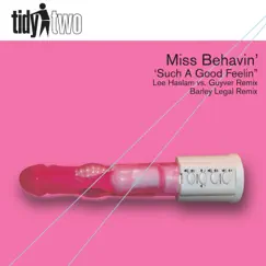 Such a Good Feelin' - Single by Miss Behavin album reviews, ratings, credits