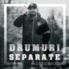 Drumuri separate (feat. Casper) - Single album lyrics, reviews, download