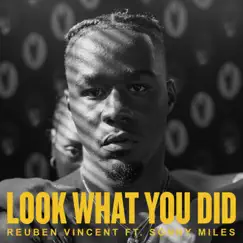 Look What You Did (feat. Sonny Miles) Song Lyrics
