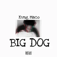 Big Dog Song Lyrics