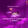 Special Feels (feat. James Whet & Ebreezi) - Single album lyrics, reviews, download