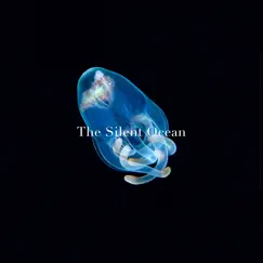 Afterglow - Single by The Silent Ocean album reviews, ratings, credits