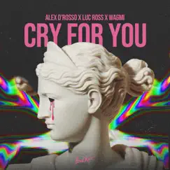 Cry for You - Single by Alex D'Rosso, Luc Ross & WAGMI album reviews, ratings, credits