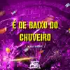 É de Baixo do Chuveiro - Single album lyrics, reviews, download