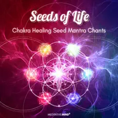 Quick Heal: All 7 Chakras Seed Mantra Chants Song Lyrics