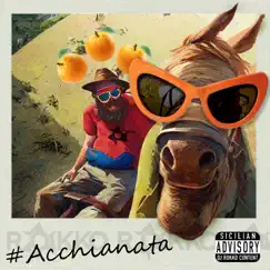 Acchiànata - Single by Rokko album reviews, ratings, credits