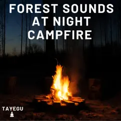 Forest Sounds at Night Campfire Camping Wolves and Crickets 1 Hour Relaxing Nature Ambient Yoga Meditation Sound For Sleeping Relaxation or Studying by TAYEGU album reviews, ratings, credits