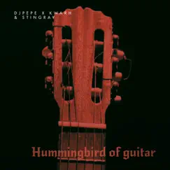 Hummingbird of Guitar Song Lyrics