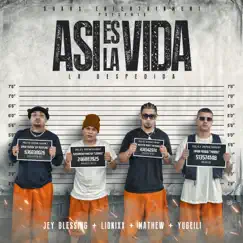 Así Es La Vida (La Despedida) [feat. Jey Blessing] - Single by Lionixx, Yubeili & Mathew album reviews, ratings, credits