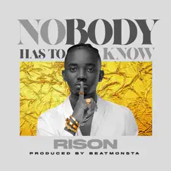 Nobody Has to Know - Single by Rison album reviews, ratings, credits