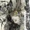 Angelwings album lyrics, reviews, download