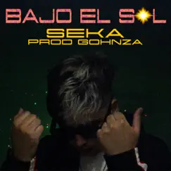 Bajo El Sol Song Lyrics