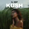 Kush - Single album lyrics, reviews, download
