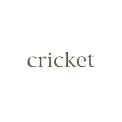 Foundations, Vol. 4 (Cricket) by Huntingtons album reviews, ratings, credits
