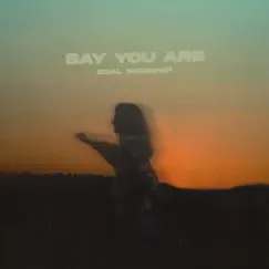 Say You Are Song Lyrics