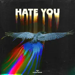 Hate You Song Lyrics