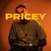 Pricey (Radio Edit) - Single album lyrics, reviews, download