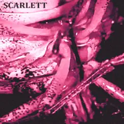 Scarlett Song Lyrics