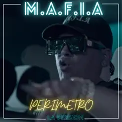 PERIMETRO - Single by Mafia album reviews, ratings, credits