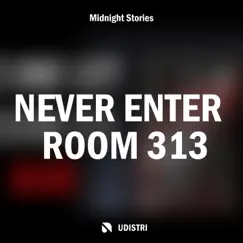 Never Enter Room 313 - Part 8 Song Lyrics
