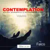 CONTEMPLATION VOLUME 1 album lyrics, reviews, download