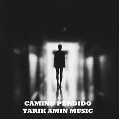 Camino Perdido - Single by TARIK AMIN MUSIC album reviews, ratings, credits