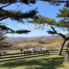 You Used To - Single by Tele Vision album reviews, ratings, credits