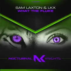 What the Fluke - Single by Sam Laxton & LKX album reviews, ratings, credits