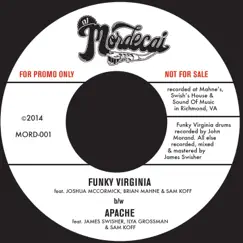 Funky Virginia (feat. Brian Mahne, Joshua McCormick & Sam Koff) Song Lyrics