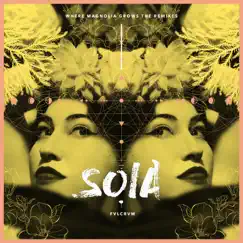 Hoe For Love (FVLCRVM Remix) - Single by Soia & FVLCRVM album reviews, ratings, credits