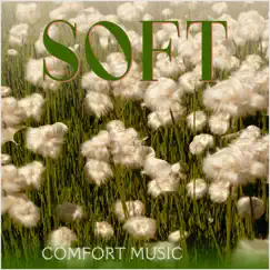 Comfort Music (Soft) - Single by Claudio Calzolari & Carlo Andrea Calzolari album reviews, ratings, credits