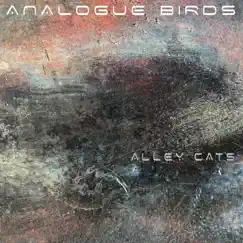 Alley Cats (feat. Pat Appleton) - Single by Analogue Birds album reviews, ratings, credits