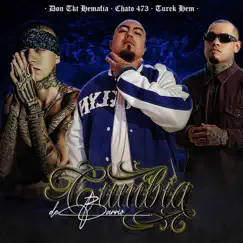 Cumbia de Barrio - Single by Don Tkt Hemafia, Chato 473 & Turek Hem album reviews, ratings, credits