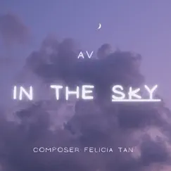 In the Sky - Single by A V album reviews, ratings, credits