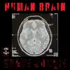 Human Brain - Single album lyrics, reviews, download