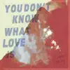 You Don’t Know What Love Is - Single album lyrics, reviews, download