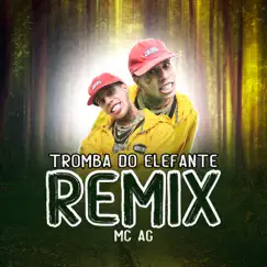 Tromba do Elefante (Remix) Song Lyrics