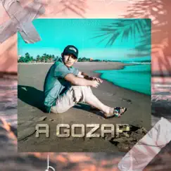 A Gozar - Single by ZURDO HR EL DIAMANTE album reviews, ratings, credits