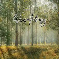 Magic Forest Ambience and Piano Chords Song Lyrics