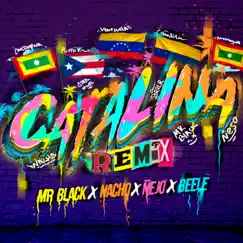 Catalina (Remix) [feat. Beéle] - Single by Mr Black El Presidente, Nacho & Ñejo album reviews, ratings, credits