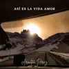 Así Es la Vida Amor - Single album lyrics, reviews, download
