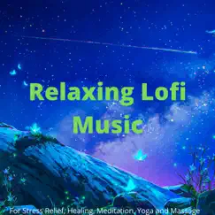 Relaxing Lofi Music for Stress Relief, Healing, Meditation, Yoga, Massage, Spa by David Sechovicz album reviews, ratings, credits