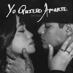 Yo Quiero Amarte (I Want It All - Spanish Version) Song Lyrics