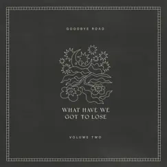 What Have We Got to Lose - Single by Drew Holcomb & The Neighbors & JOHNNYSWIM album reviews, ratings, credits
