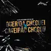 Querida Cheguei X Caveirão Chegou (feat. MC GW) song lyrics