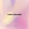 Kush Soundz - Single album lyrics, reviews, download